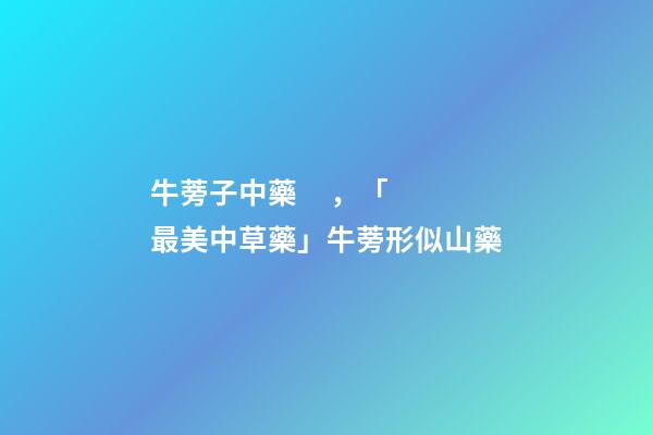 牛蒡子中藥，「最美中草藥」牛蒡形似山藥-第1張-觀點-玄機派